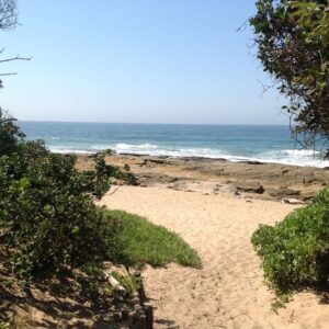 Shelly Beach/ St Michaels SBS 42